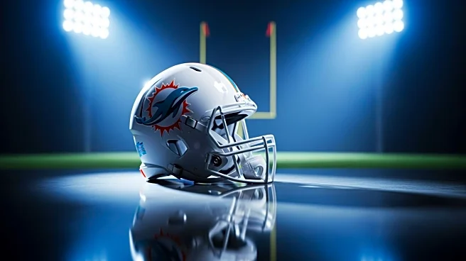 Miami Dolphins' Victory Over Falcons Raises Questions About Team's Future