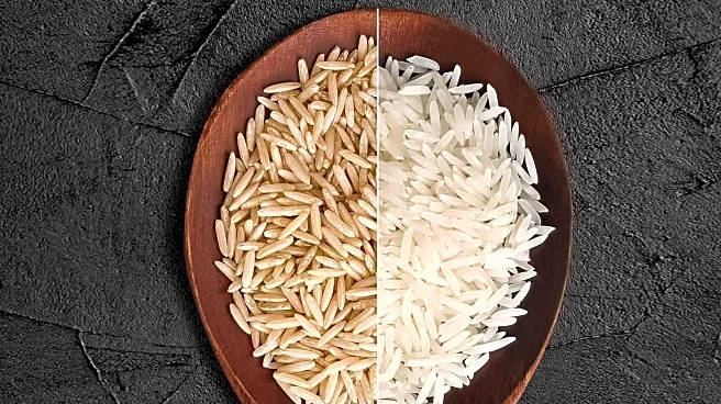 Dietitians Discuss Health Implications of Brown vs. White Rice for Consumers