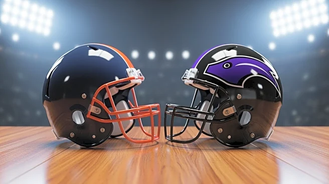 Chicago Bears Face Setback as Winning Streak Ends Against Baltimore Ravens