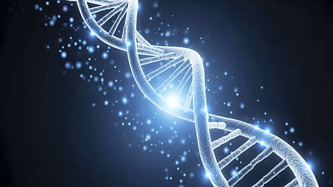 Intellia Therapeutics Pauses MAGNITUDE Trials Due to Safety Concerns