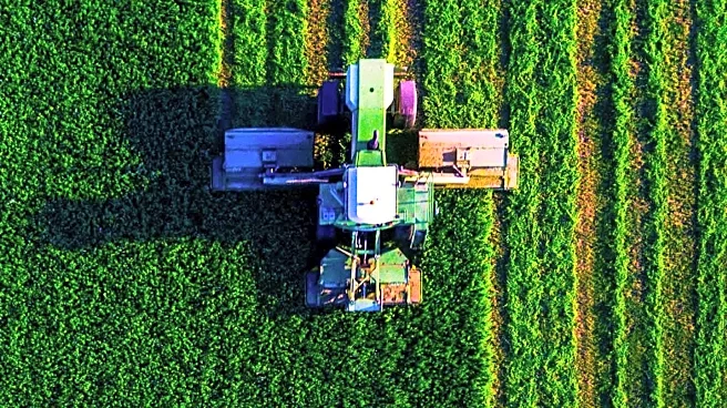 Farmfair 2025: A Celebration of Agriculture and Global Connections