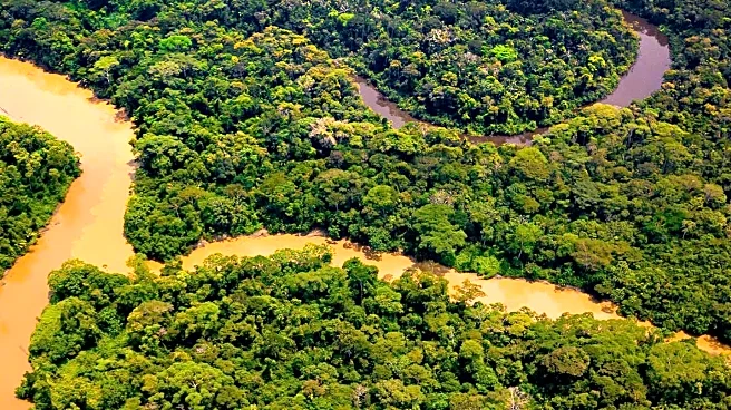 Survival International Report Highlights Threats to Uncontacted Indigenous Tribes