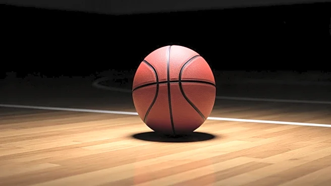 Timberwolves' Rob Dillingham sidelined due to nasal fracture impacting development