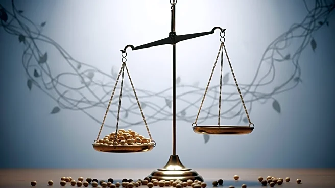 Treasury Secretary Bessent Discusses U.S.-China Trade Negotiations Amid Soybean Boycott