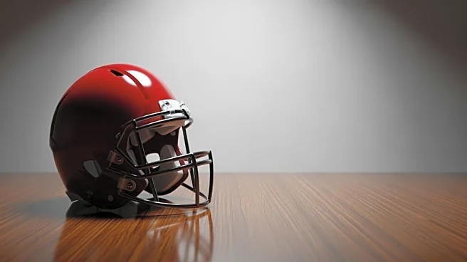 Buffalo Bills' Ray Davis Struggles in Limited Role Against Panthers