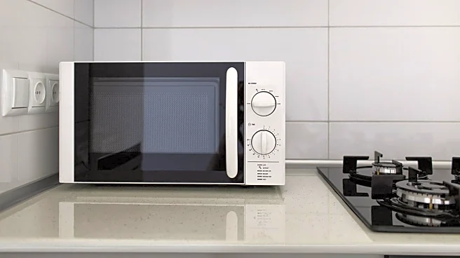 HuffPost Explores Life Without a Microwave and Its Impact on Kitchen Design