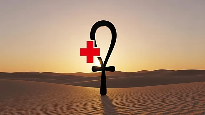 Egypt and Red Cross Collaborate in Gaza to Locate Hostage Bodies Amid Ceasefire