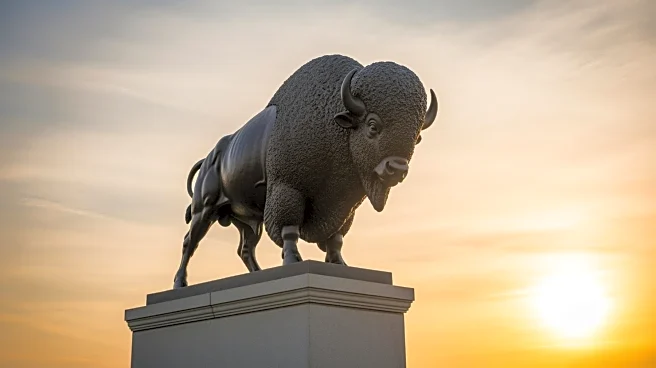 Buffalo Bills Secure Victory Over Panthers, Ending Losing Streak