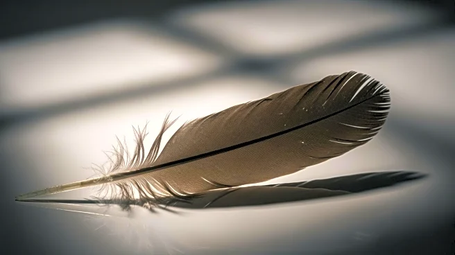 American Eagle's Controversial Campaign Sparks Debate and Boosts Sales