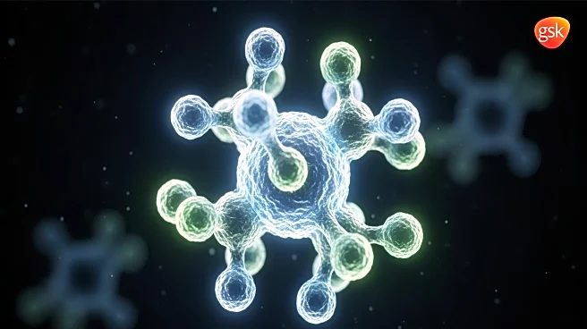 GSK Expands Cancer Pipeline with New Prostate Cancer Drug Licensing