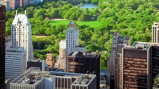 Zulu Alpha Kilo Introduces NYC Merit Badges to Celebrate Local Experiences