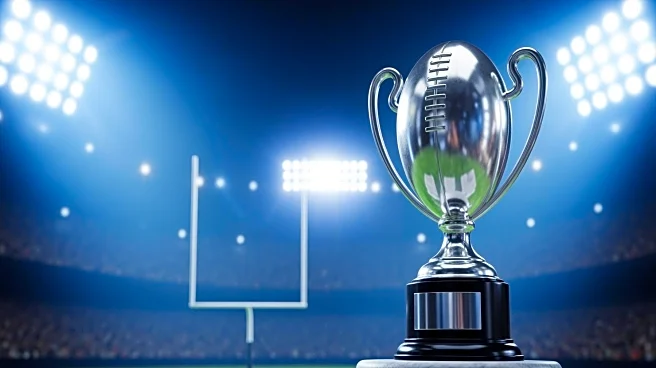 NFL Playoff Picture 2025: Week 9 Standings and Super Bowl Bracket Odds