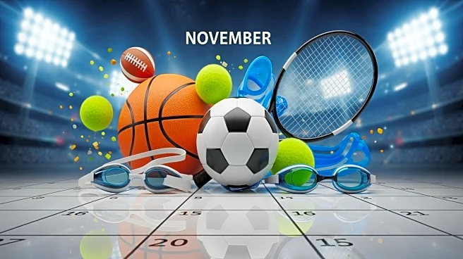 November Sports Calendar Highlights Major Events Across Various Venues