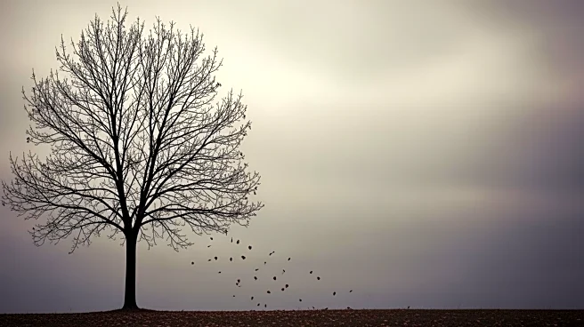 Seasonal Job Market Faces Decline Amidst Increased Competition