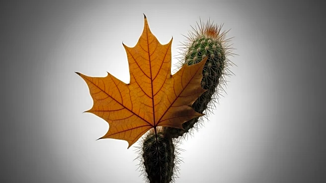 Canada and Mexico Strengthen Agricultural Trade Ties