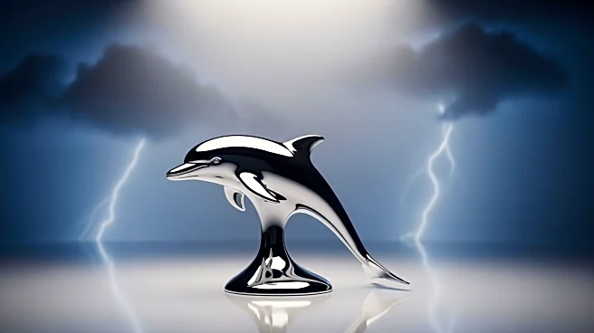 Dolphins' Storm Duck Out for the Season Due to Knee Injury