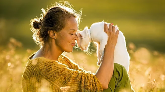 Woman Adopts Cat Found Outside Target After Shelter Visit