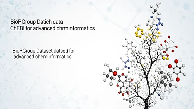 BioRGroup Dataset Expands ChEBI Molecules for Cheminformatics