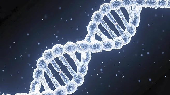 Intellia Therapeutics Temporarily Pauses CRISPR Trials Due to Safety Concerns