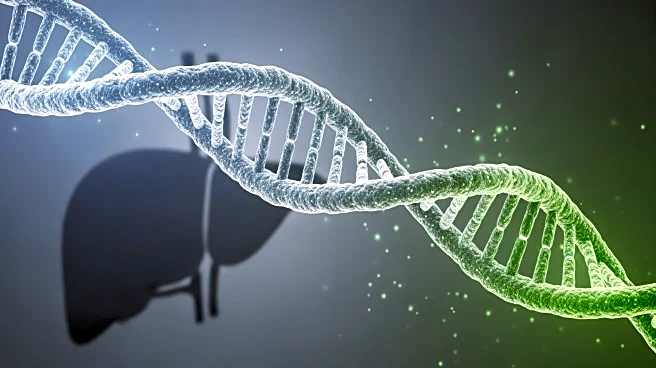 Intellia Therapeutics Halts Phase III Trials for CRISPR Therapy Due to Liver Toxicity