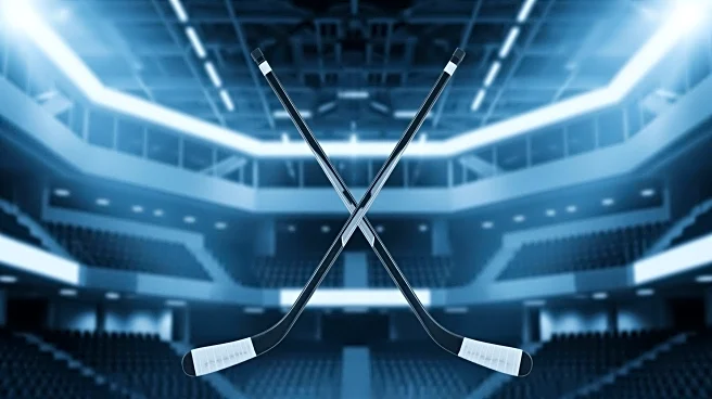 Los Angeles Kings End Chicago Blackhawks' Point Streak with Strategic Victory