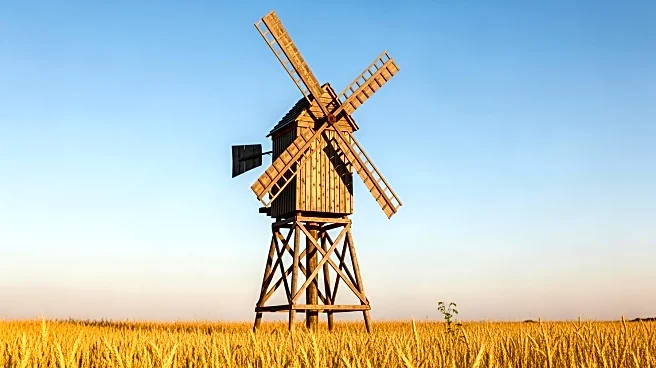 Cairnspring Mills Expands Craft Flour Production, Boosting Economic Prospects for Farmers and Indian Country