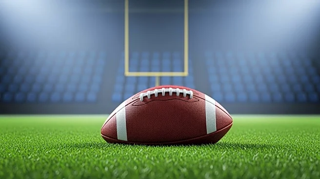 CBS Analyst Declares Bengals' Playoff Hopes Over After Loss to Jets