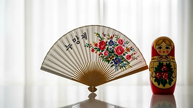 North Korea's Top Diplomat Meets Putin Amid Strengthening Russia Ties