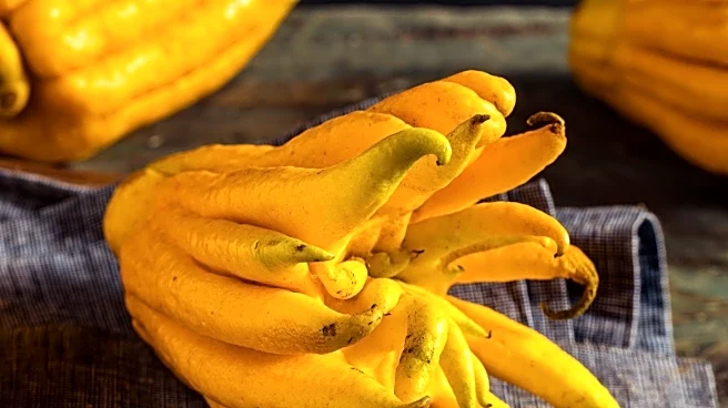 Neurotronic Reveals Promising Clinical Outcomes for Multi-Organ Denervation in Diabetes and Hypertension