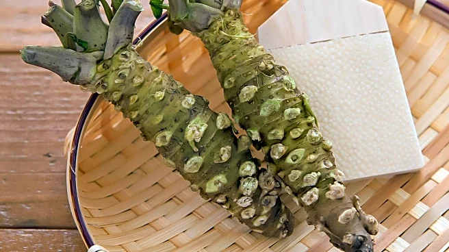 Japan’s Sushi Legend Jiro Ono Celebrates 100th Birthday, Continues Culinary Legacy