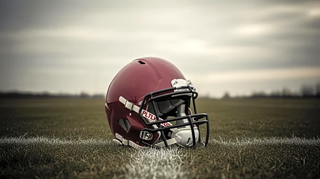 Steelers Defense Struggles Amidst AFC North Lead Loss