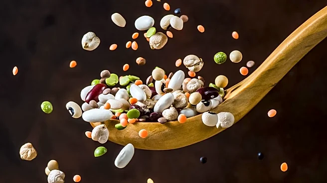 Nutritionists Advocate Legumes and Rice for Complete Protein Benefits