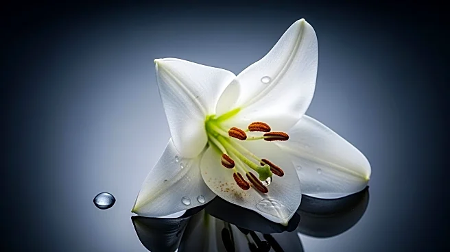 ABC Actress Isabelle Tate's Cause of Death Revealed as Rare Disease