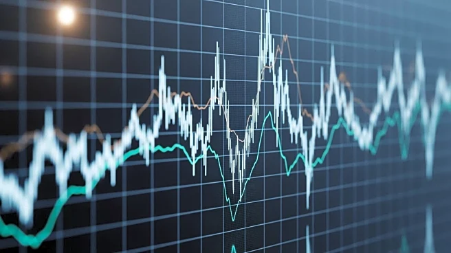 Australian Authorities Raid WiseTech Over Alleged Share Dealings, Impacting Stock Prices