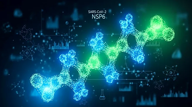 Bioinformatics Study Identifies Potential Inhibitors for SARS-CoV-2 NSP6