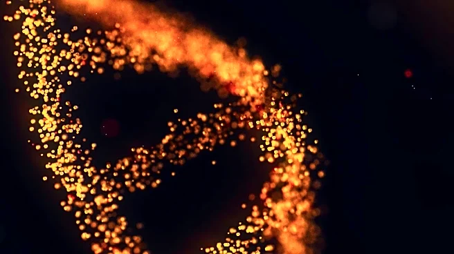 SARS-CoV-2 Spike Mutations Impact ACE2 Binding and Immune Evasion