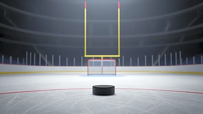 Fan Critically Injured After Falling at Penguins Game