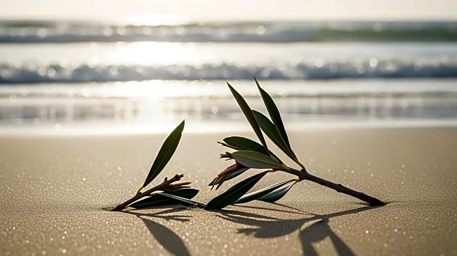 Israeli Military Resumes Ceasefire After Gaza Strikes Result in Civilian Casualties