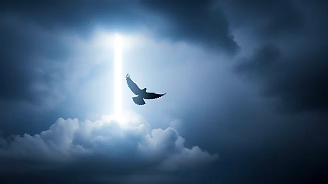 IDF Completes Retaliatory Strikes in Gaza, Resumes Ceasefire