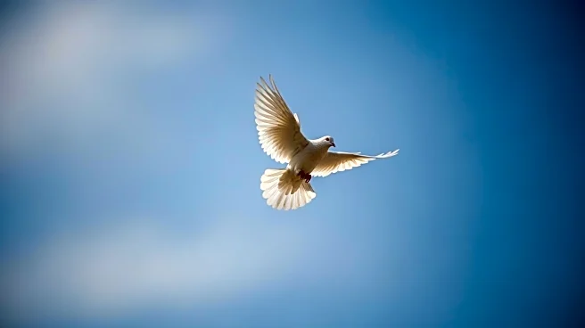 Israel Announces Ceasefire Resumption After Deadly Strikes in Gaza