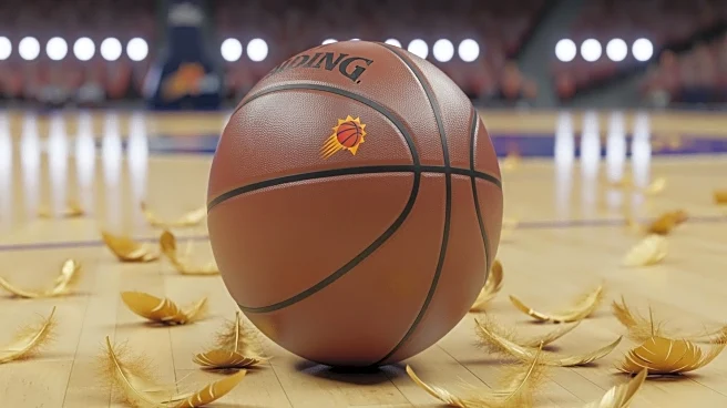 Phoenix Suns Struggle with Turnovers in Loss to Memphis Grizzlies