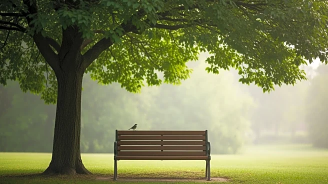 Lincoln Heights Homeless Encampment Cleared, Residents Transition to Temporary Housing