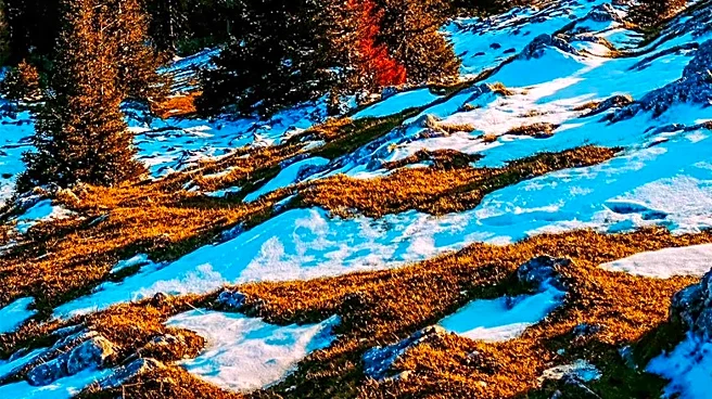 Mont-Sainte-Anne Offers Scenic Snowshoeing Trails for Winter Enthusiasts