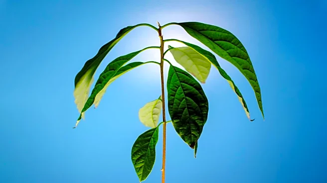 Family's Role in Personal Growth and Emotional Support Highlighted