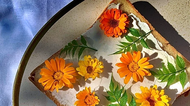 Toast: Historical Origins and Cultural Significance Explored