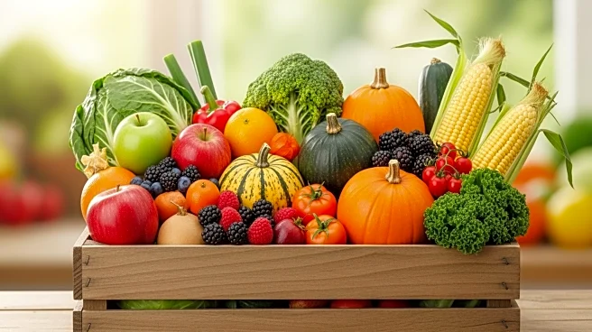 Job Seeker Interest in Seasonal Work Surges Amid Labor Market Softening