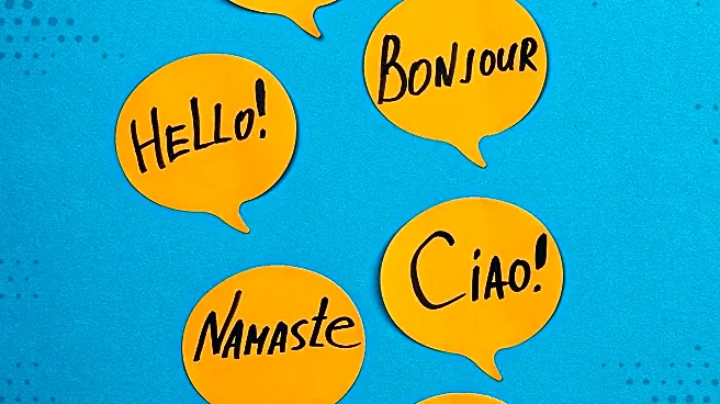 Haitian Creole Academy Advocates for Creole as National Development Language