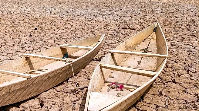 World Health Organization Highlights Drought's Impact on Global Health and Migration Risks