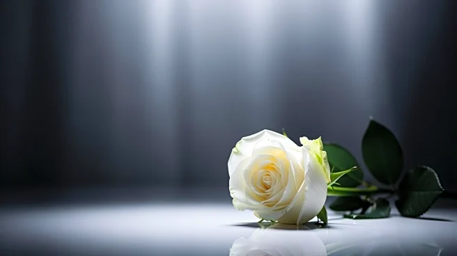 Howie Mandel's Absence from AGT Due to Family Loss