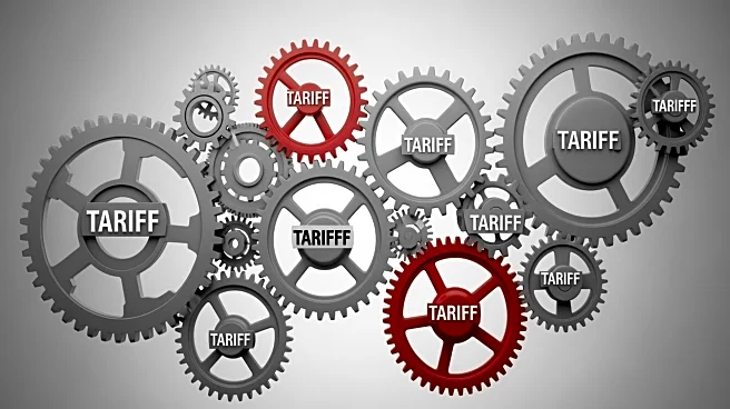 World Trade Organization Highlights Tariff Structures and Their Economic Impact